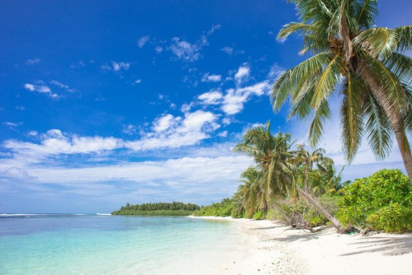 Voyages à thème de dernière minute : Art, cuisine, nature et plus