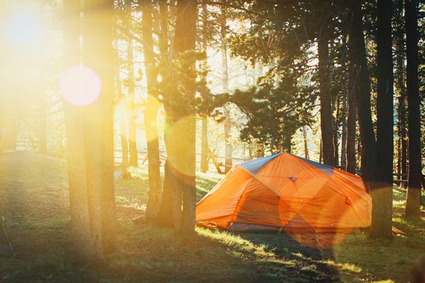 Profitez d'un séjour nature au camping la pinède en drôme