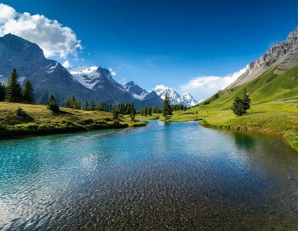 Camping dans les parcs nationaux avec des animaux: ce que vous devez savoir