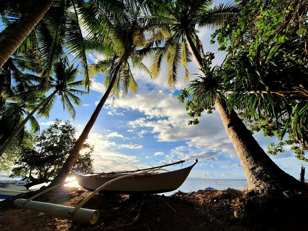 Visiter le mexique : plongée au cœur de ses merveilles culturelles !